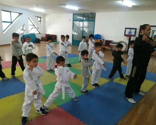 Taekwondo Training.