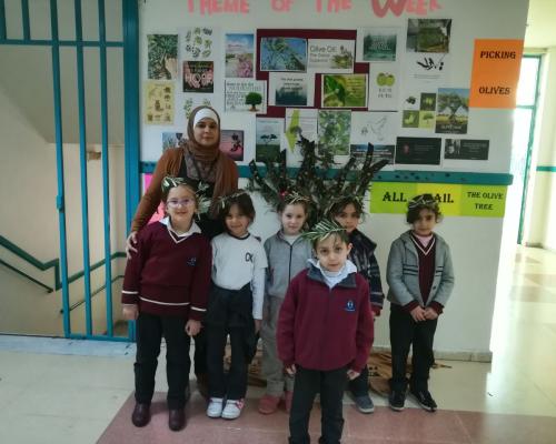 Olive Tree Activity - Elementary Section.