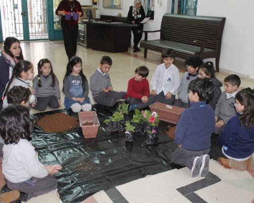 Cultivation of flowers - Kindergarten Kids