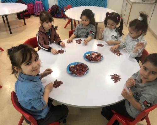 Kindergarten Activities