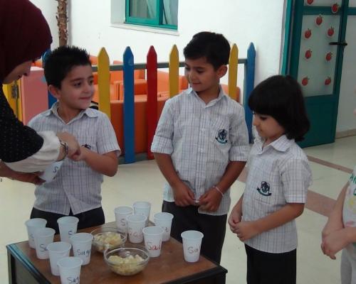 five senses - Kindergarten section